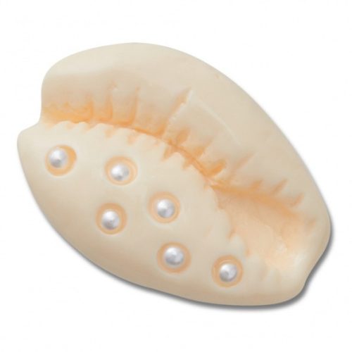 Crocs Fehér kagyló Jibbitz