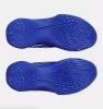 Under Armour Curry D. FOX 1 KW Team Royal / White