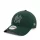 New Era 940 MLB Metallic Outline 9FORTY New York Yankees Green ONE