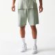 New Era NBA Los Angeles Lakers Shorts Pastel Green XL