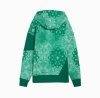 Puma Shooting Stars Hoodie Wild Green XS
