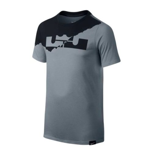 Nike Boys LeBron Logo Graphic T-Shirt GREY