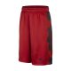 Nike Boys LeBron Essential 2.0 Short  LIGHT CRIMSON