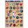 WinCraft - NBA Multi-Use Decal 11x17 Mixed Teams MC