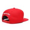 Mitchell & Ness Silicon Grass Snapback Chicago Bulls RED