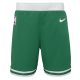 Nike NBA Boston Celtics Icon Replica Short Green S