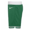 Nike NBA Boston Celtics Icon Replica Short Green S