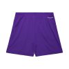 Mitchell & Ness NBA Gameday Mesh 7In Shorts Vintage Logo Toronto Raptors Purple