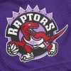 Mitchell & Ness NBA Gameday Mesh 7In Shorts Vintage Logo Toronto Raptors Purple