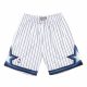 Mitchell & Ness Orlando Magic 93-94 Swingman Shorts White